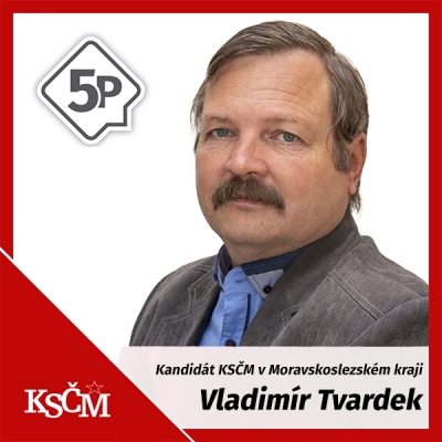 VLADIMÍR TVARDEK